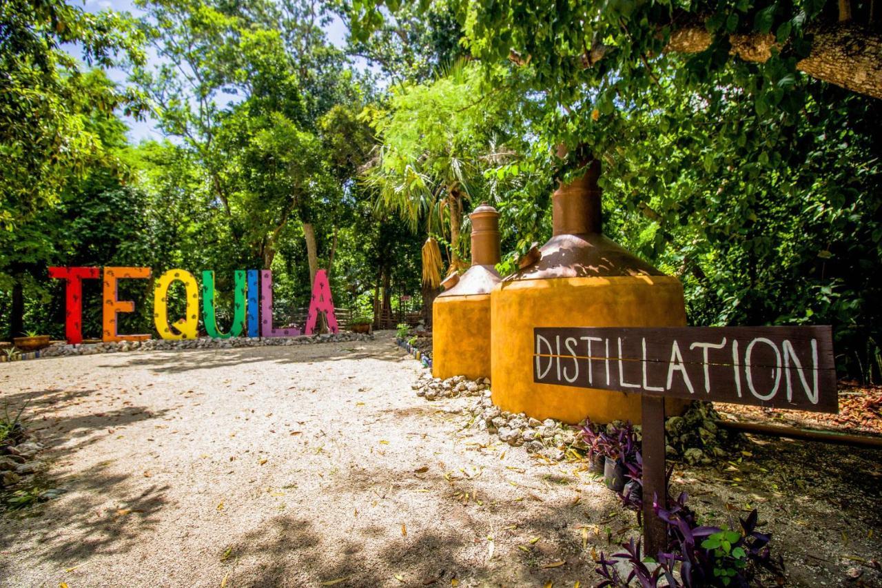 Hotel Tequila Cancun Ngoại thất bức ảnh